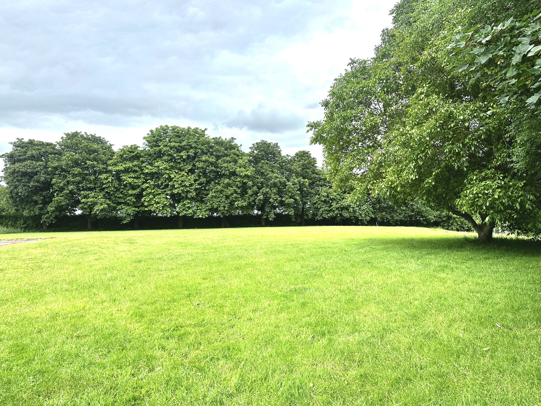 The playing field behind the hall, a large open grassed area edged with mature trees